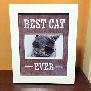 Best Cat Ever White and Brown Photo Frame